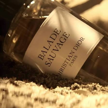 ⭐ Dior Balade Sauvage (2018) – 125 ml
