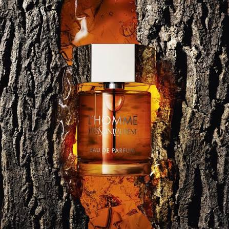⭐️ YSL L’Homme Eau de Parfum – 100 ml (2022)