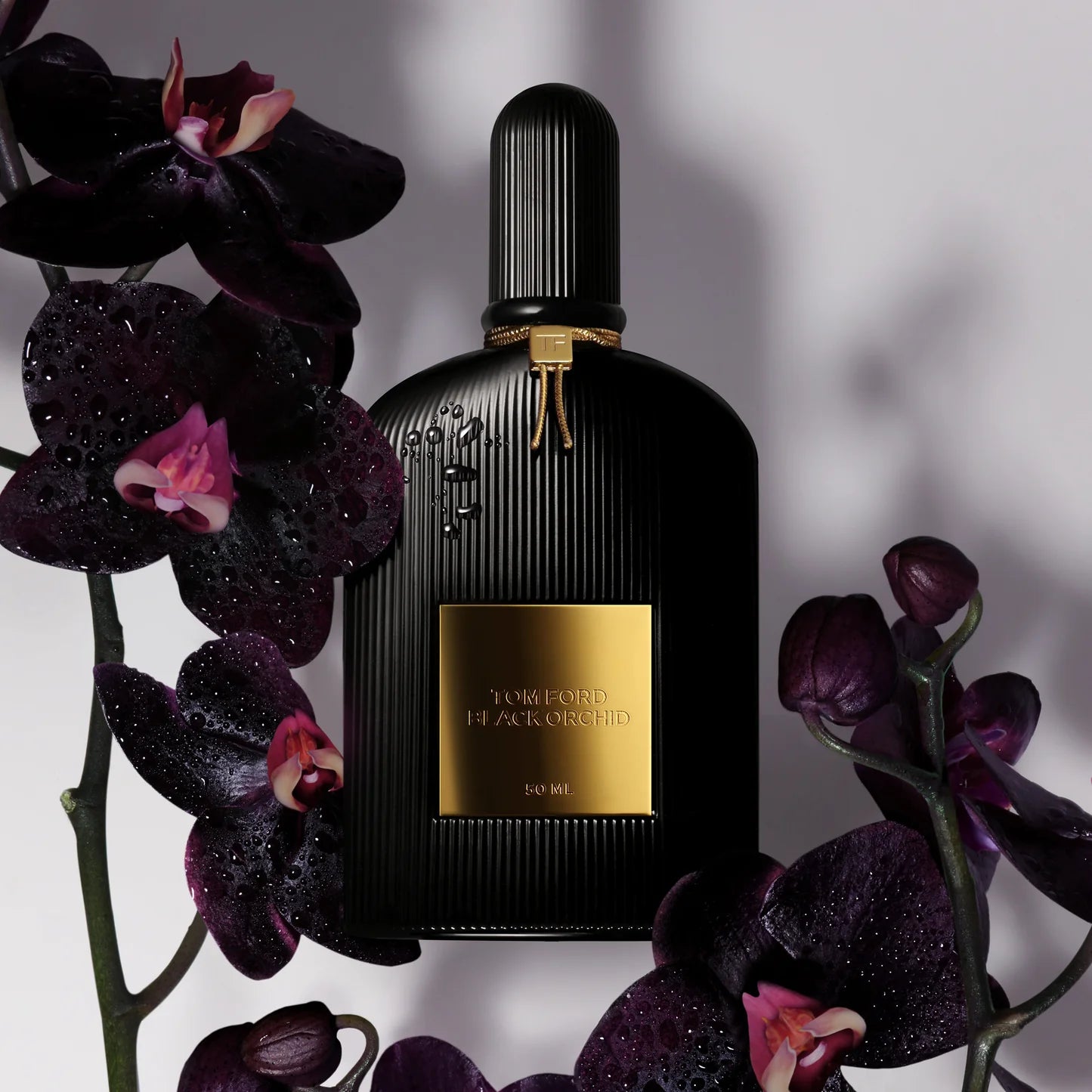 ⭐ Tom Ford – Black Orchid (100 ml)